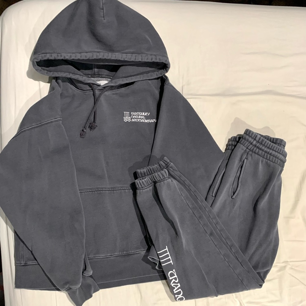 Aritzia sweatsuit